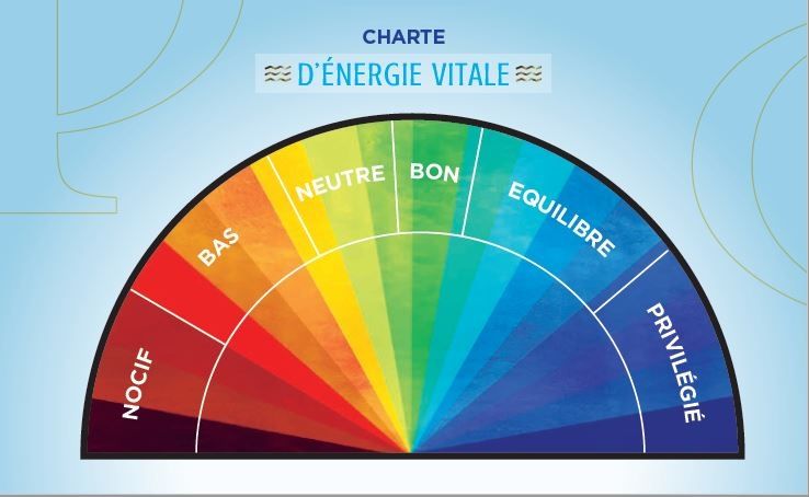 charge d'énergie vitale pour mesure du taux de vitalité